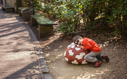 jongen met zonnebril legt zijn oor te luisteren op een hele grote rode paddenstoel met witte stippen