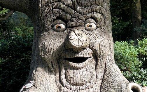 sprookjesboom in het sprookjesbos, dikke boom met een gzicht