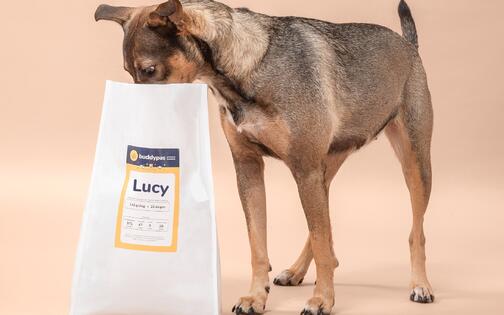 hond snuffelt in witte zak hondenvoeding met daarop haar naam Lucy