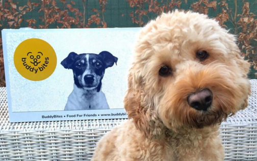 labradoodle met op achtergrond zak hondeneten met geel logo en foto hond in rieten mand