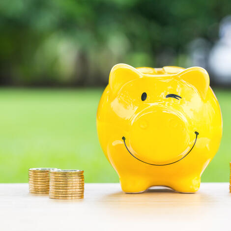 geel lachend spaarvarkentje met daarrond euromuntjes