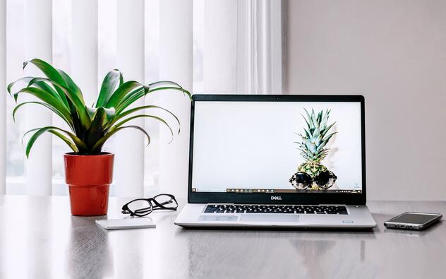dell laptop op een tafel naast een plant