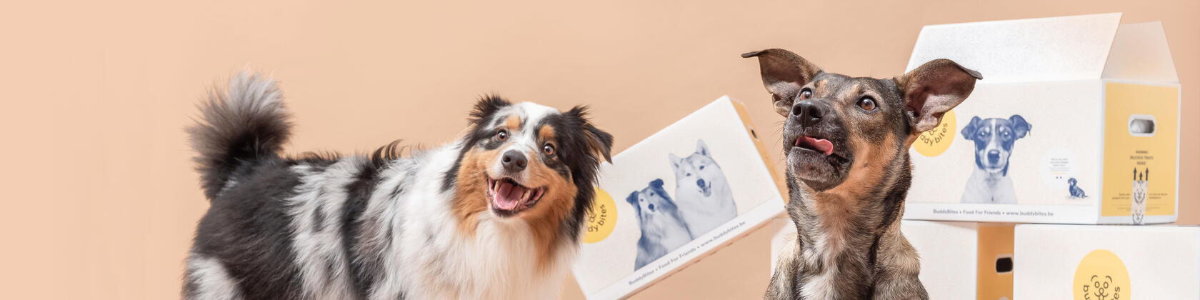 2 honden met achter zich dozen van buddybites hondenvoeding waarop logo + foto van hond 