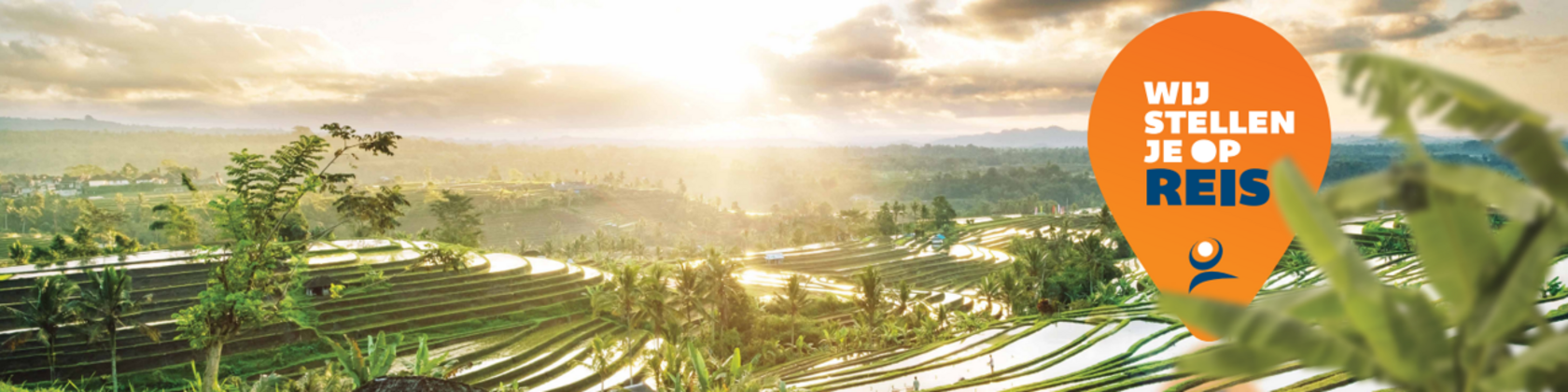foto van rijstvelden met tekst we stellen je op reis